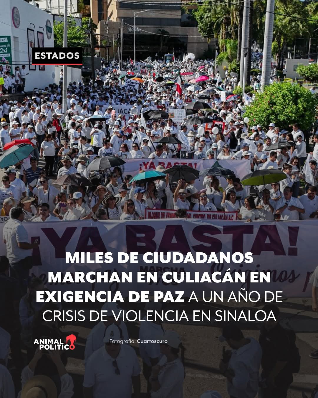 Marcha por la paz Marcha por la paz